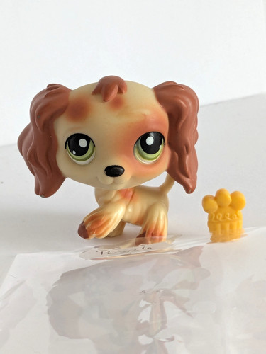 Authentique petshop chien - authentique,
