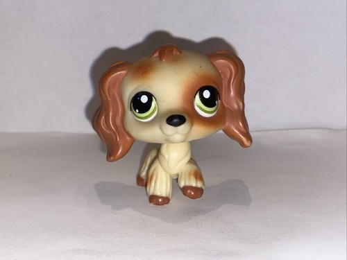 Petshop chien épagneul - chien,