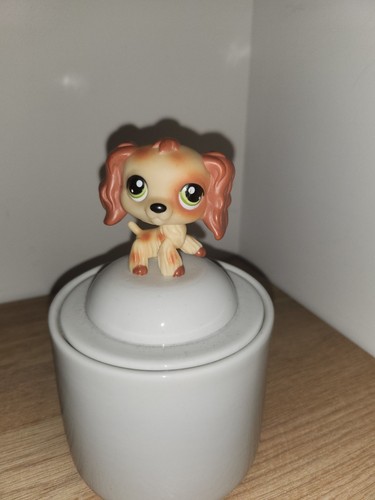 Authentic littlest pet - authentic,