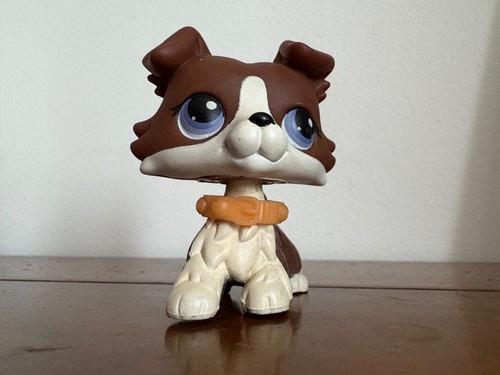 Petshop colley puzzle - sans, n°