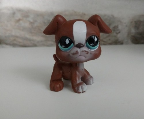 Petshop chien boxer - boxer, puzzle