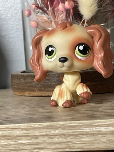 Petshop chien épagneul - 🌺petshop,